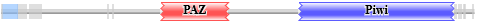 Paz, Piwi architecture